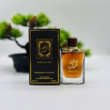download (25) Pendora Scents Oud Ay Layl 30ml