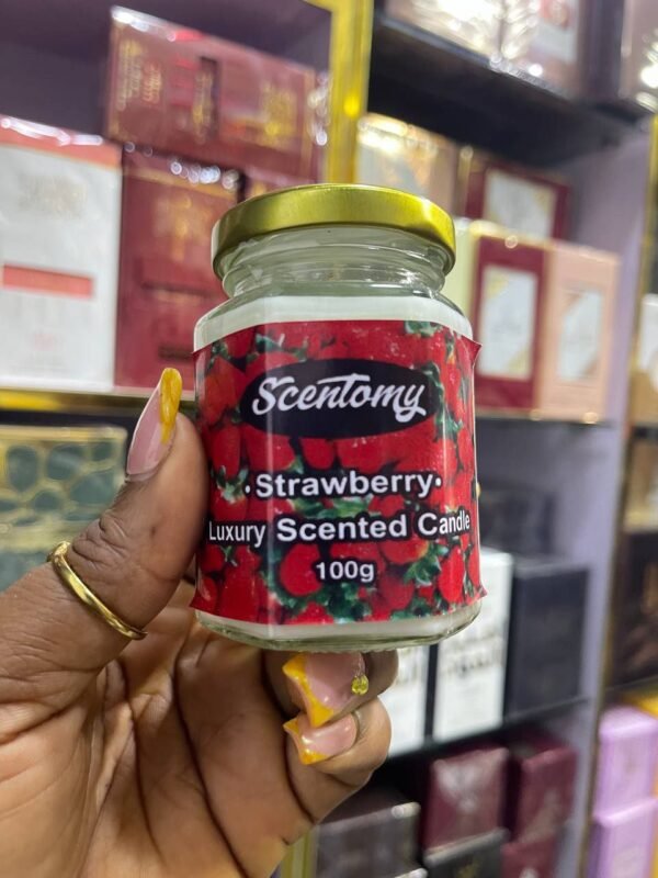 Scentomy Bubble Gum Luxury Scented Candle 100g