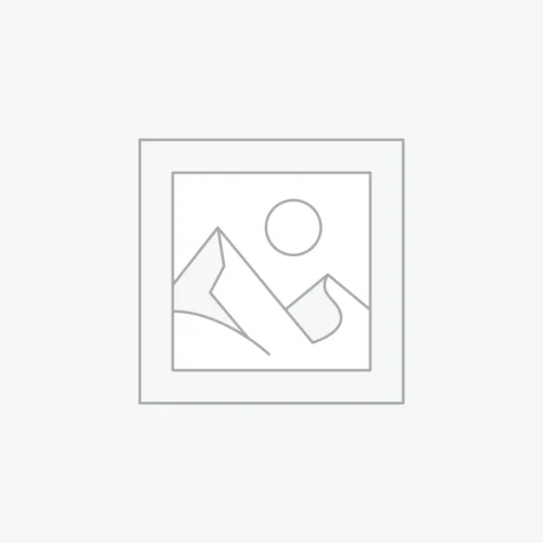 1 Million Paco Rabanne EDT 100ML